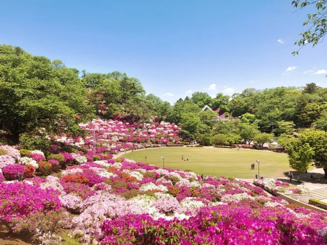 コンセプト画像2